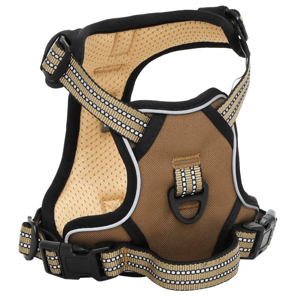 Kit Harnais Chien Anti-Traction Polyester Réglable avec Laisse et Collier Marron L – ComfortXL Pet Living
