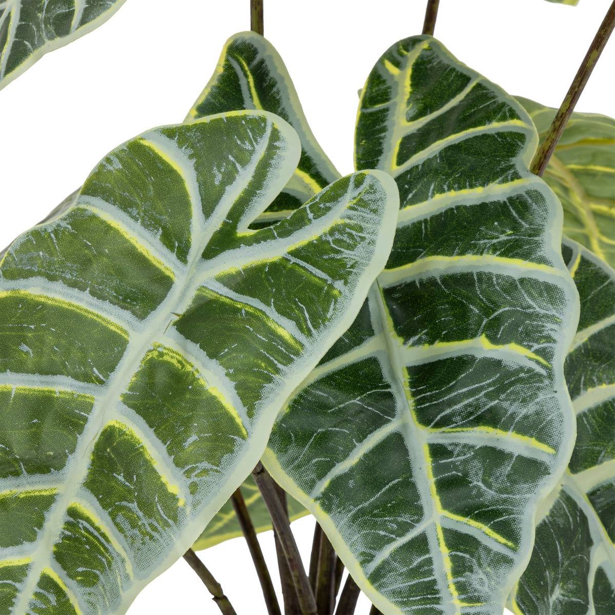 Plante artificielle Alocasia dans Pot en Terre cuite H 43 cm - Imagen 2