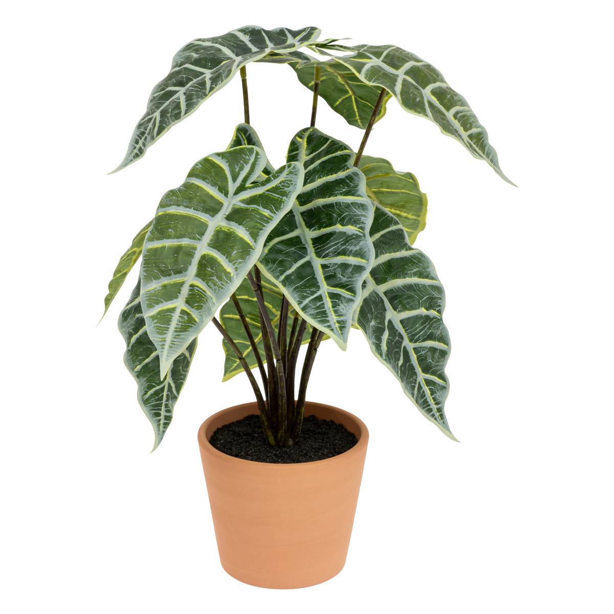 Plante artificielle Alocasia dans Pot en Terre cuite H 43 cm - Imagen 1