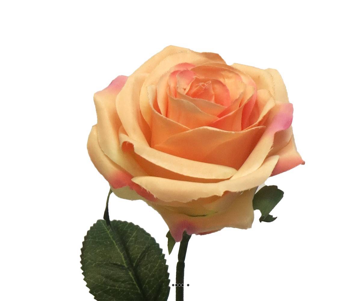 Artificielles - Rose factice Paris H64cm tête D9cm 12 feuille tissu Orange clair BEST - couleur: Orange clair - Imagen 3