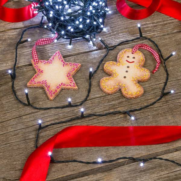 Lotti - Guirlande lumineuse 53M 750 LED blanc froid 8 modes d'animations câble 30V vert foncé Lotti - Imagen 4