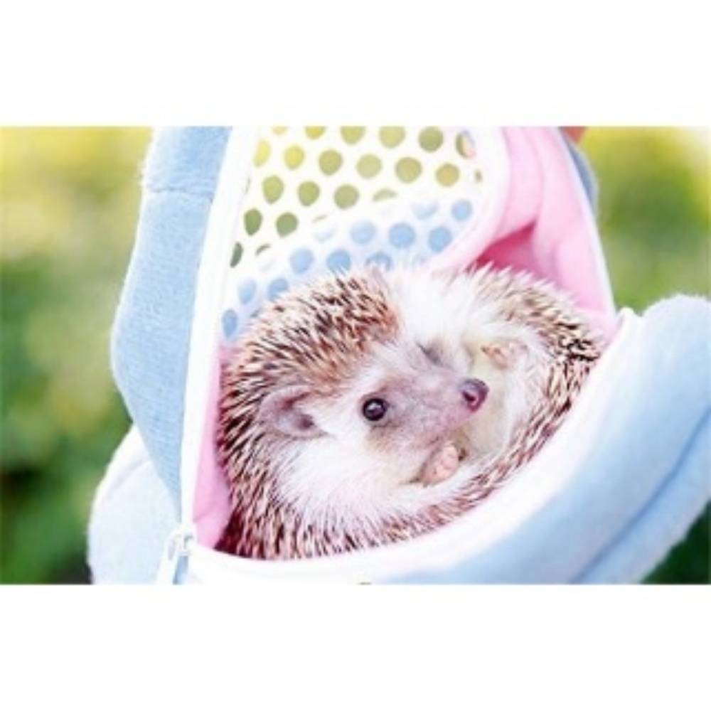 Sac De Transport Pour Hérissons Lapins Rats Hamsters DtopbuyAge - Image 4