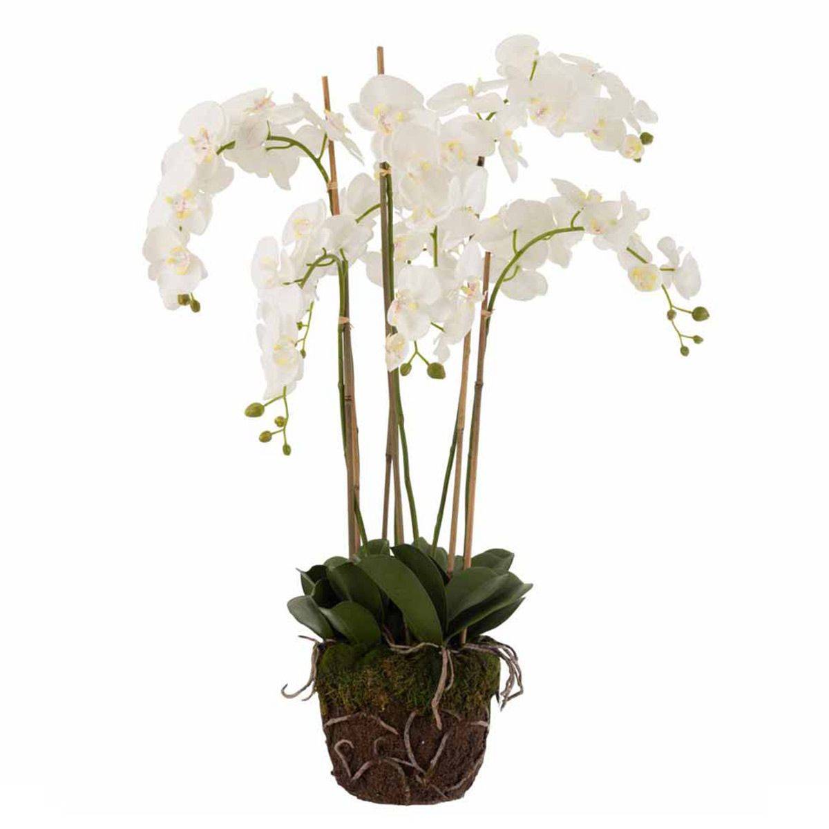 J-Line - Fleur Artificielle Déco "Orchidée en Terre" 98cm Blanc - Image 1