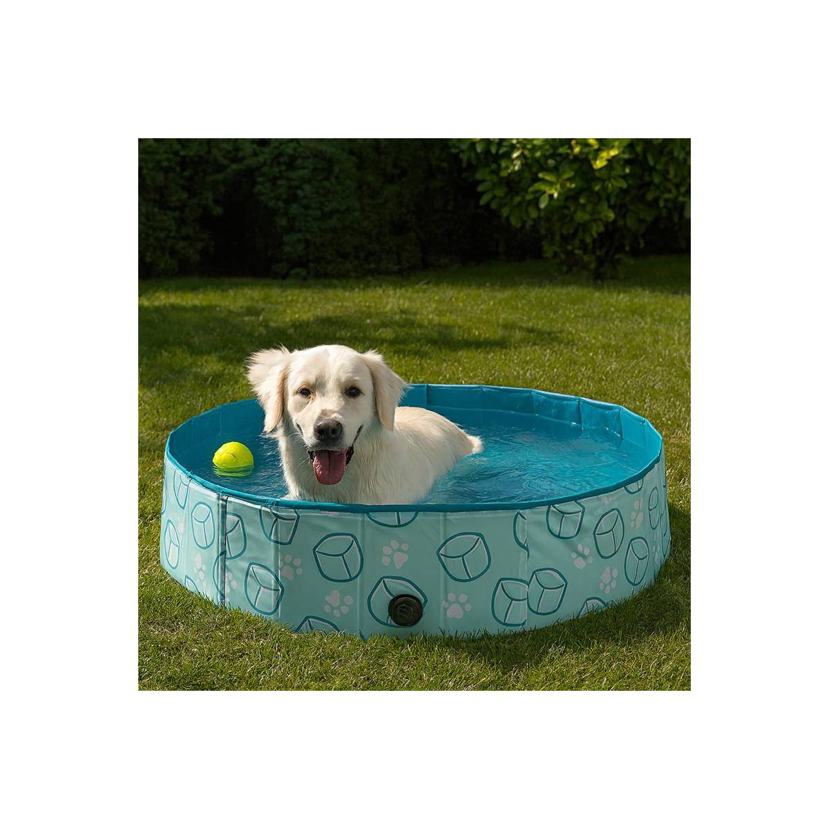 The Concept Factory - Piscine pour Chien "Splash" 120cm Bleu - Image 4