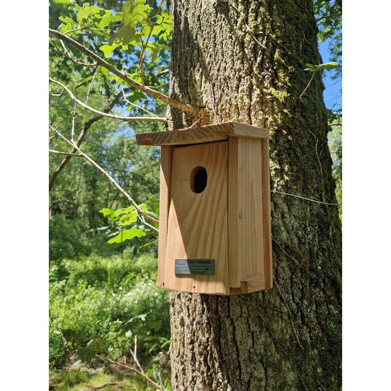 Nichoir à oiseaux en kit pour rouge-queue - Cot Cot House - Image 5