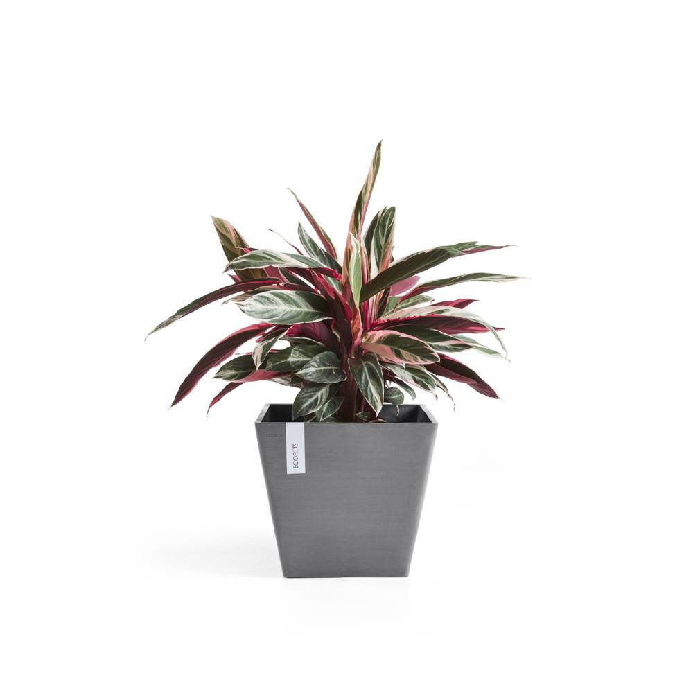 Ecopots - Pot Carré Rotterdam 30 Gris - 30 x 30 x H. 26 cm - 17 L ECOPOTS - Imagen 3