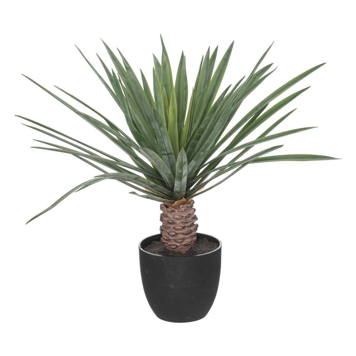 Atmosphera - Palmier artificiel "Rivi" pot ciment H52cm - Atmosphera Créateur d'intérieur - Imagen 1