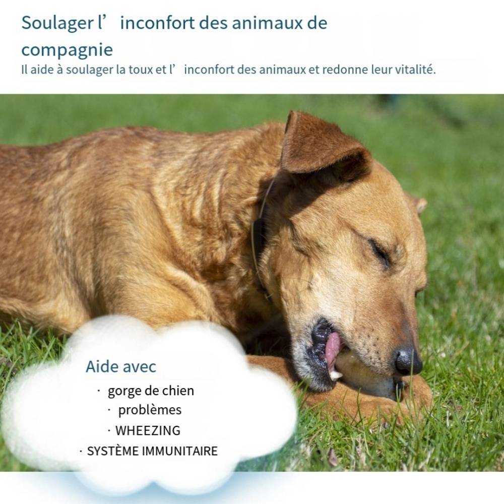 IntiMeg - Pastilles contre la toux pour animaux IntiMeg - Image 5