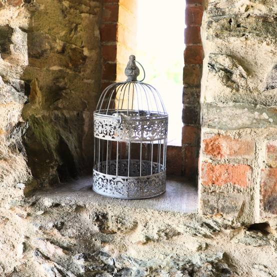 Cage à oiseaux décorative ancienne métal gris Ø.20x32cm Chemin de campagne - Imagen 3