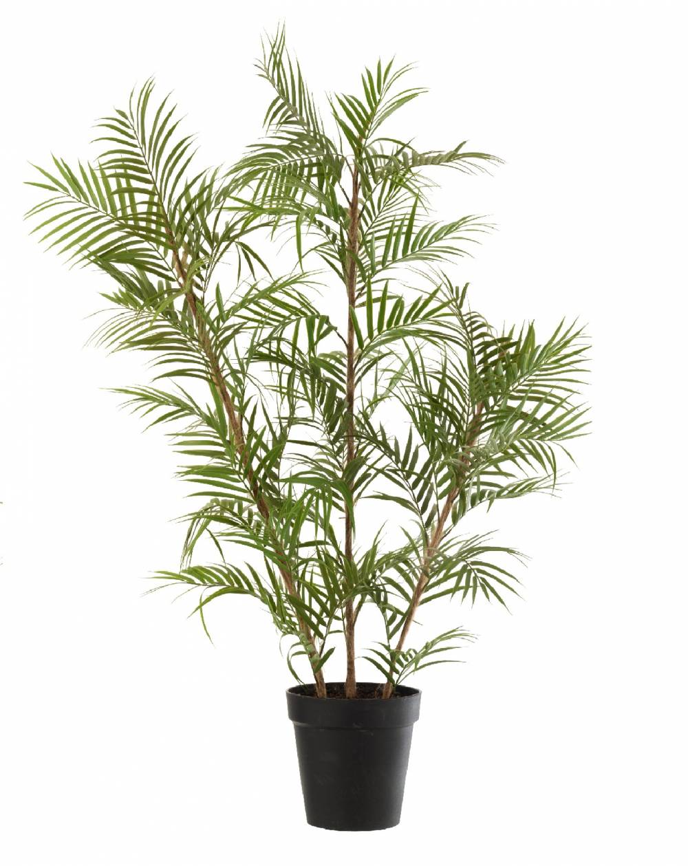 Palmier en pot plastique vert/noir large