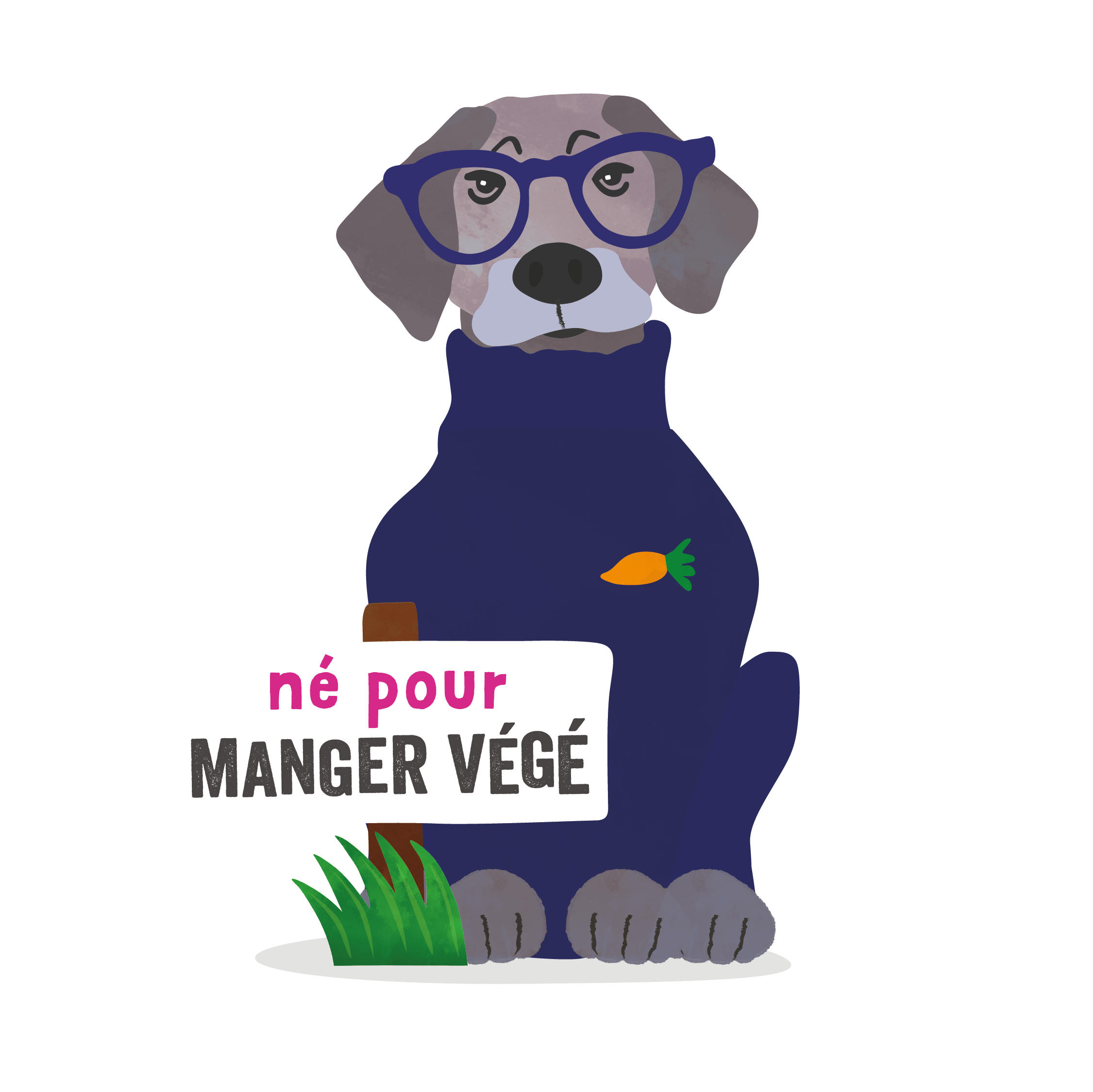 Edgard & Cooper - Edgard Cooper - Croquettes Végétariennes Betterave & Citrouille pour Chien - Imagen 6