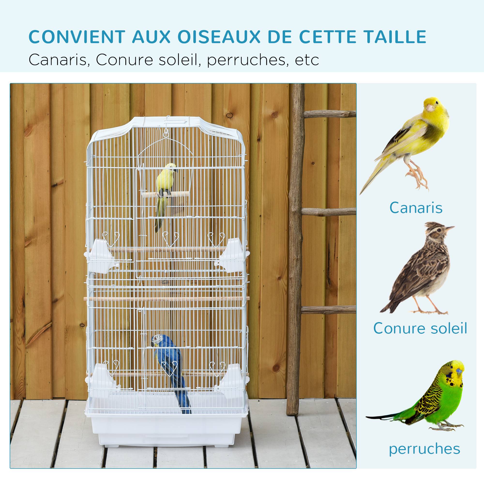 Pawhut - Cage à oiseaux volière avec mangeoires perchoirs plateau amovible 2 portes dim. 46,5L x 35,5l x 92H cm métal blanc - Imagen 7