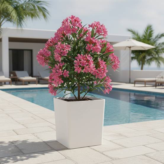 Pot de fleurs carré cubio h 50 cm-plast'up rotomoulage - Imagen 3