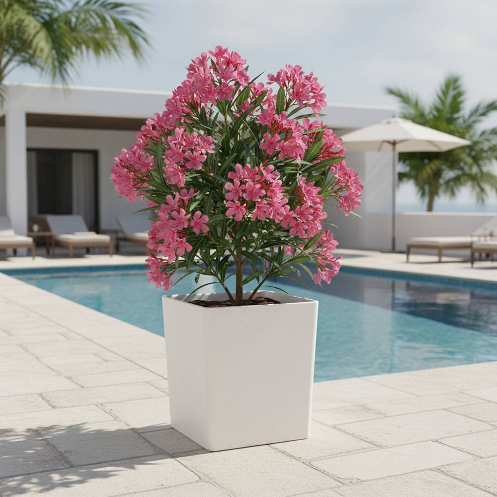 Pot de fleurs carré cubio h 50 cm-plast'up rotomoulage - Imagen 3