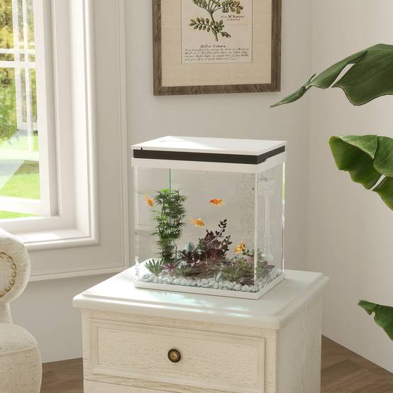 Sans Marque - Aquarium 43L en Verre Trempé avec Tapis de Protection Pour Poissons, Crevettes, Tortues, 50 x 30 x 30 cm, Transparent - Image 3