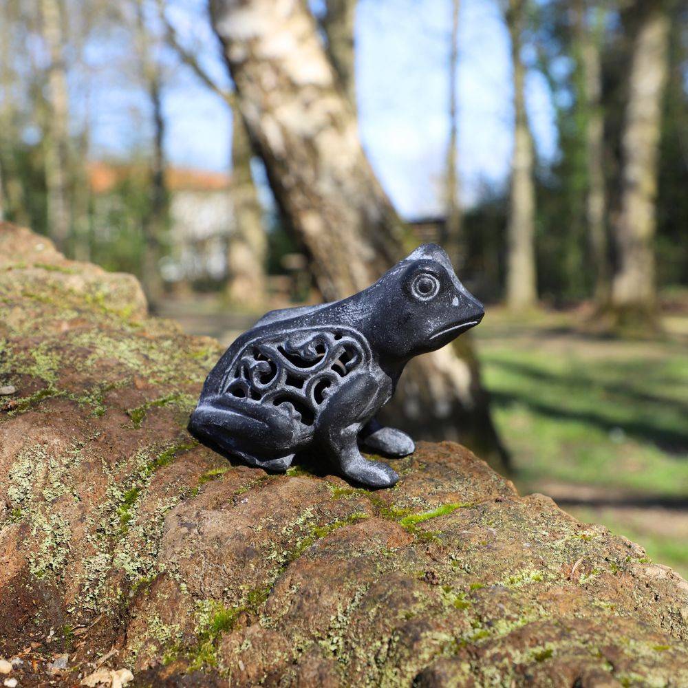 Grenouille en fonte noire 13 x 11 cm Chemin de campagne - Imagen 3