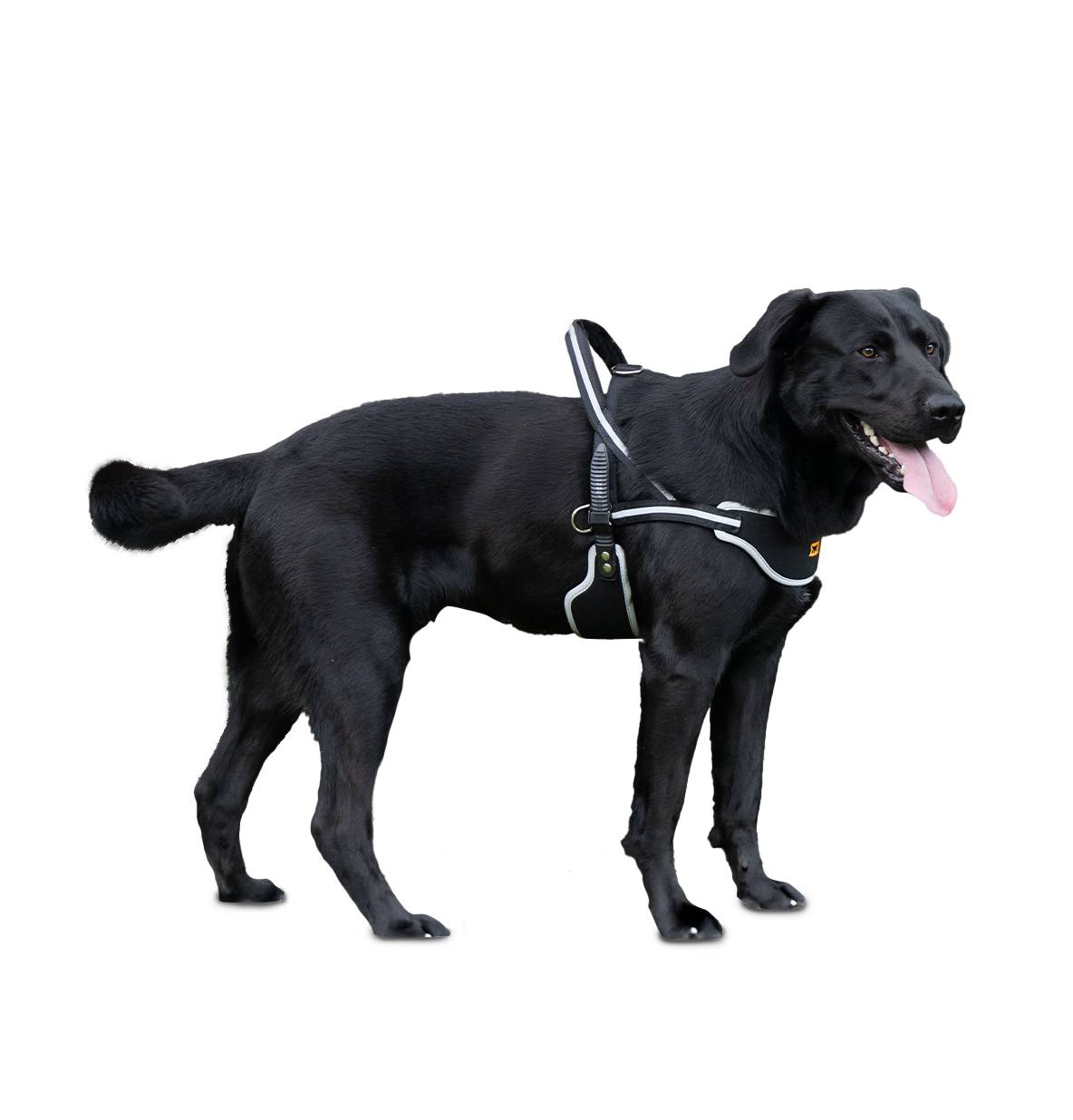 Ferplast - Ferplast Harnais Chien grande taille ERGOCOMFORT NORDIC, Harnais pour chien rembourré, Réfléchissant, Facile à porter et à régler, Dégagement rapide, - Imagen 4