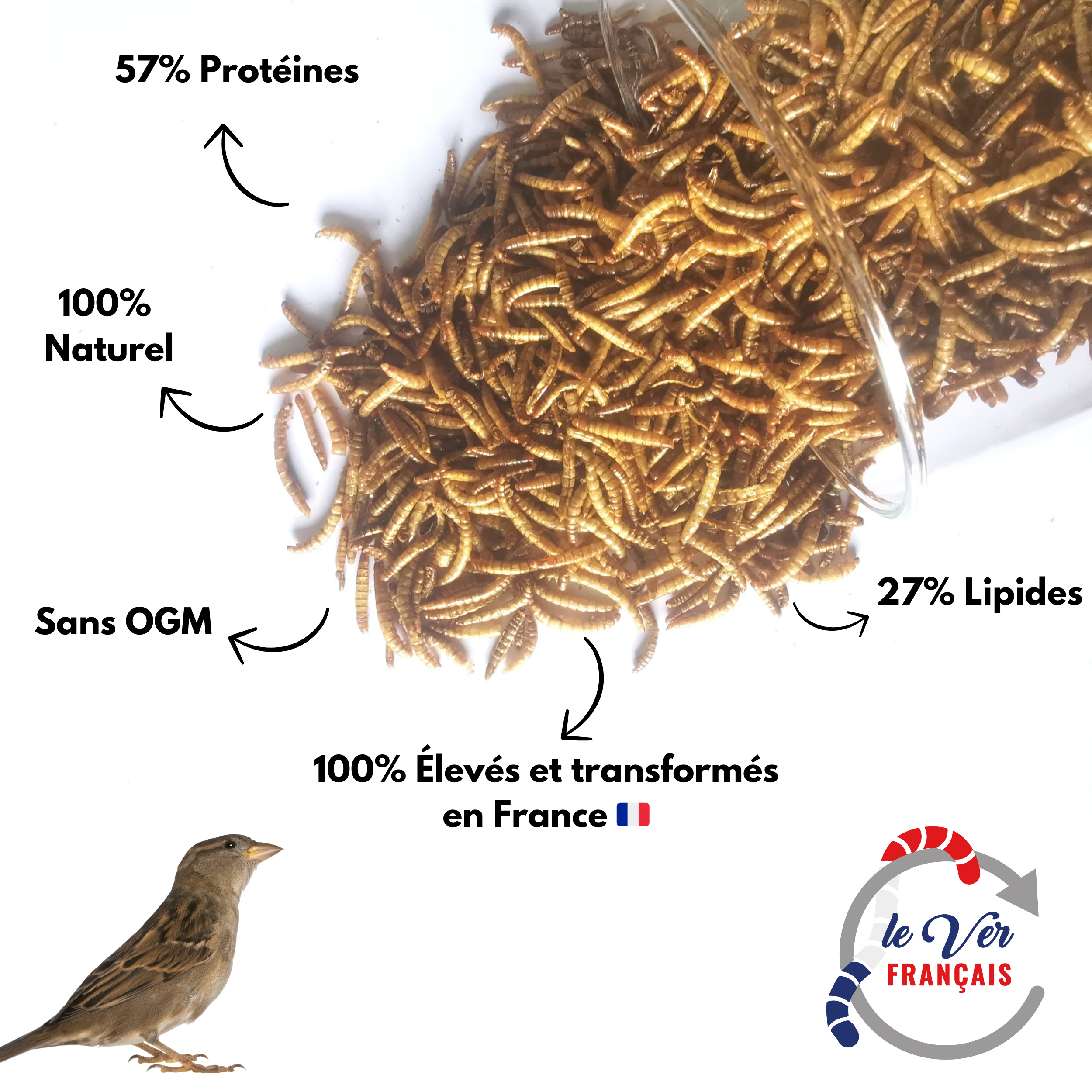 Vers de farine déshydratés 2kg - Le Ver Français - Imagen 2