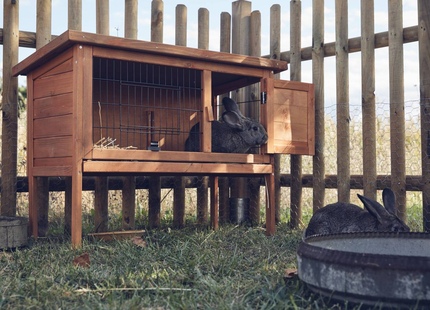 Centrale Brico - Barrière bois Buffalo bois, H.100 x l.180 cm Centrale Brico - Imagen 5