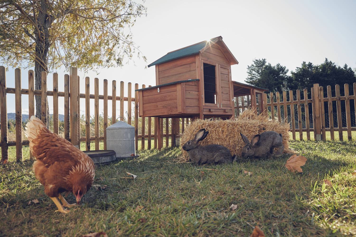 Centrale Brico - Barrière bois Buffalo bois, H.100 x l.180 cm Centrale Brico - Imagen 3