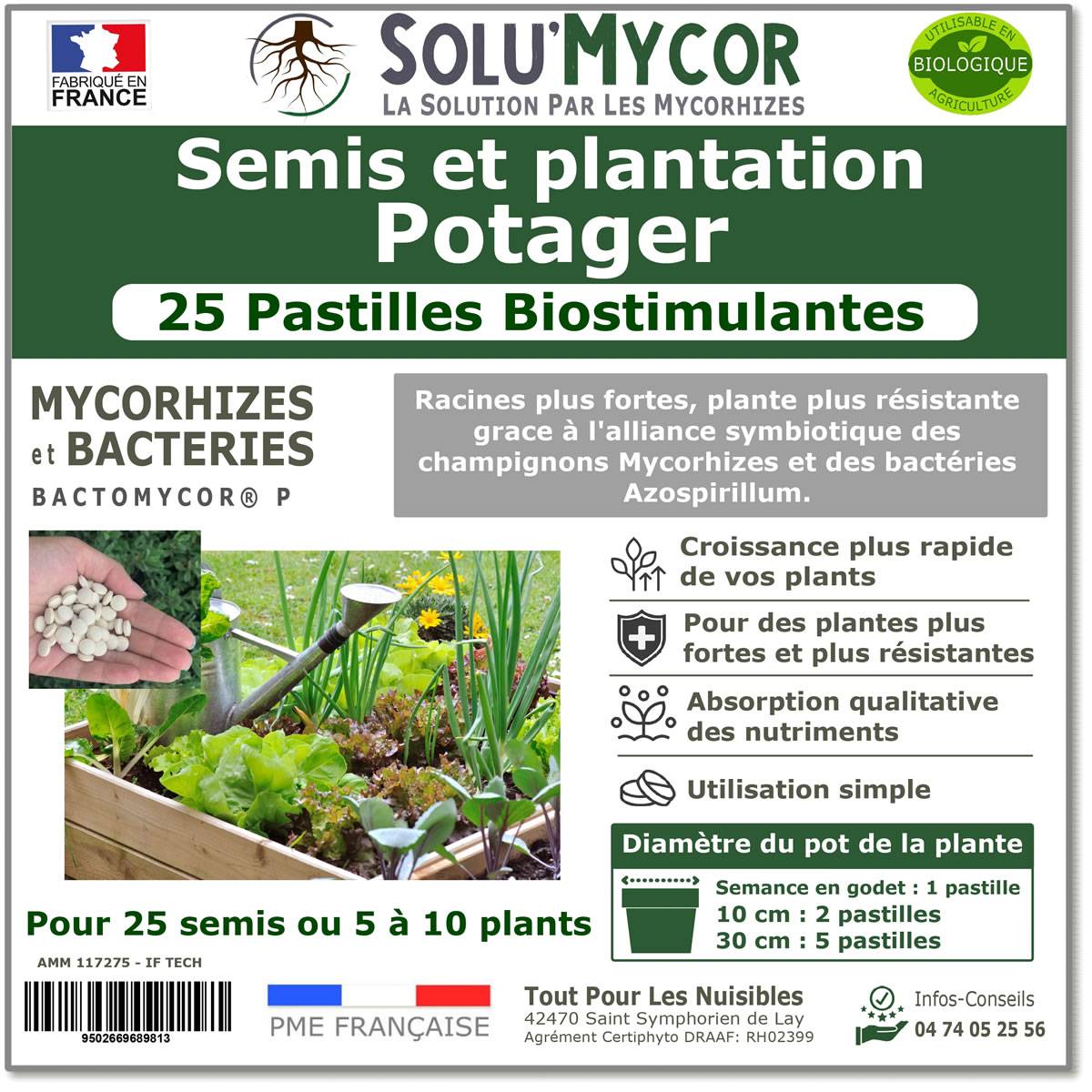 SoluMycor – 25 Pastilles Biostimulantes Potager –Pour Semis & Plantation – Mycorhizes & Bactéries Azospirillum – Favorise le Développement Racinaire