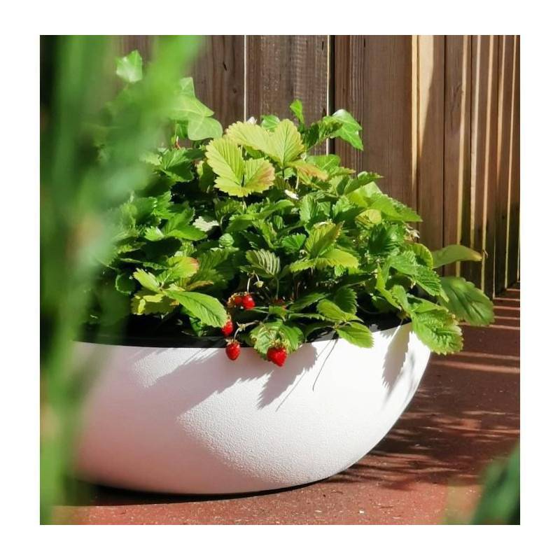 Riviera - Riviera - Coupe Pot De Fleurs - Granit D40 - Blanc - Imagen 2