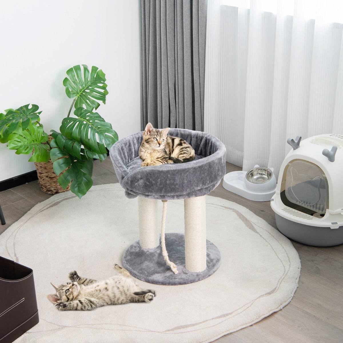 Helloshop26 - Arbre à chat tour d'arbre griffoir 2 plateformes avec perchoir à dessus souple boule de fourrure 53 cm corde en sisal gris - Imagen 2
