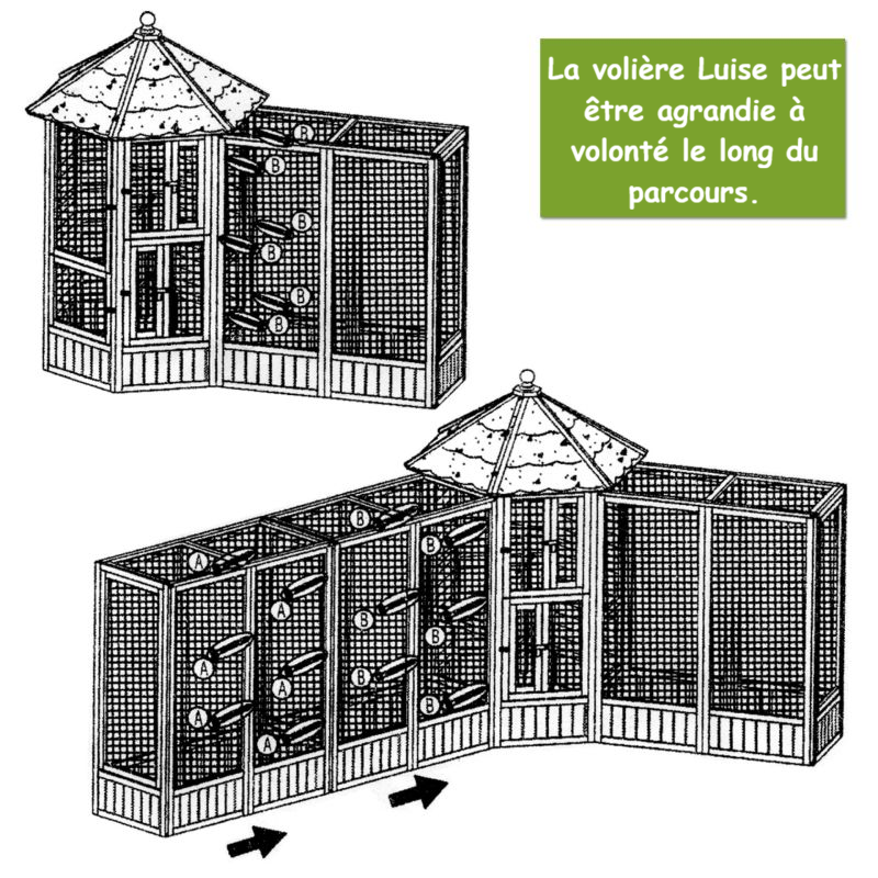 BB Loisir - Volière Cage à oiseaux en bois de haute qualité Maison principale et Extension Modèle Luise 309et 310 - Image 6