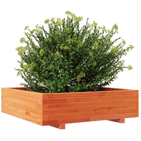 Jardinière | Pot de fleurs | Cache-pot | Bac à fleurs cire marron 90x90x26,5 cm bois de pin massif - Image 4
