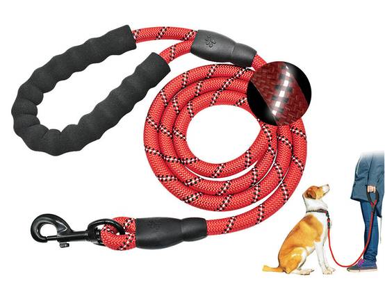Entrepotbrico - Laisse de dressage pour chien avec poignée réflecteur épaisse et durable - Image 8