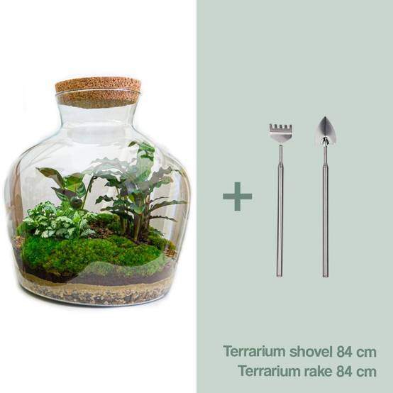Diy Terrarium - D30 H30cm - Image 1