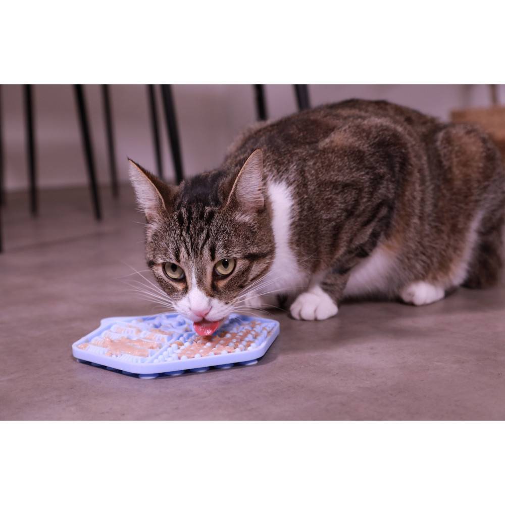 Zolux - Tapis à lécher silicone ventouses 18.5 x 15.5 cm bleu pour chat - Imagen 3