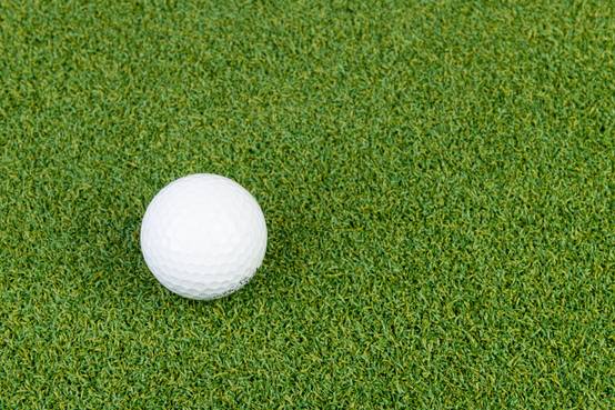 Bogazon Gazon synthétique Putting green 15 mm (4 m x 10,5 m) | Pelouse Premium | Décoration Maison | Résistant UV | Garanties 15 ans - Image 3
