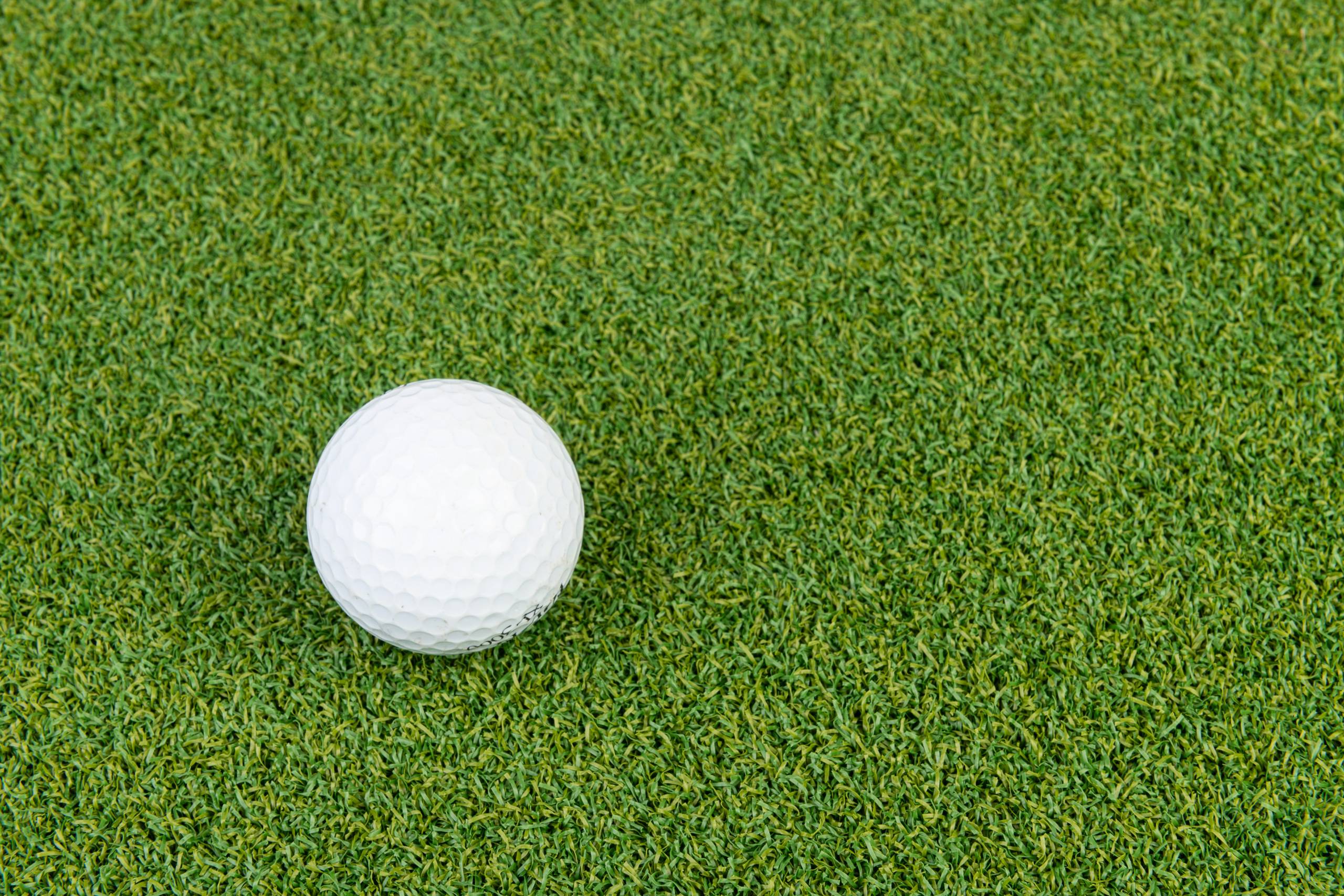Bogazon Gazon synthétique Putting green 15 mm   (4 m x 10,5 m) | Pelouse Premium | Décoration Maison | Résistant UV | Garanties 15 ans - Image 3