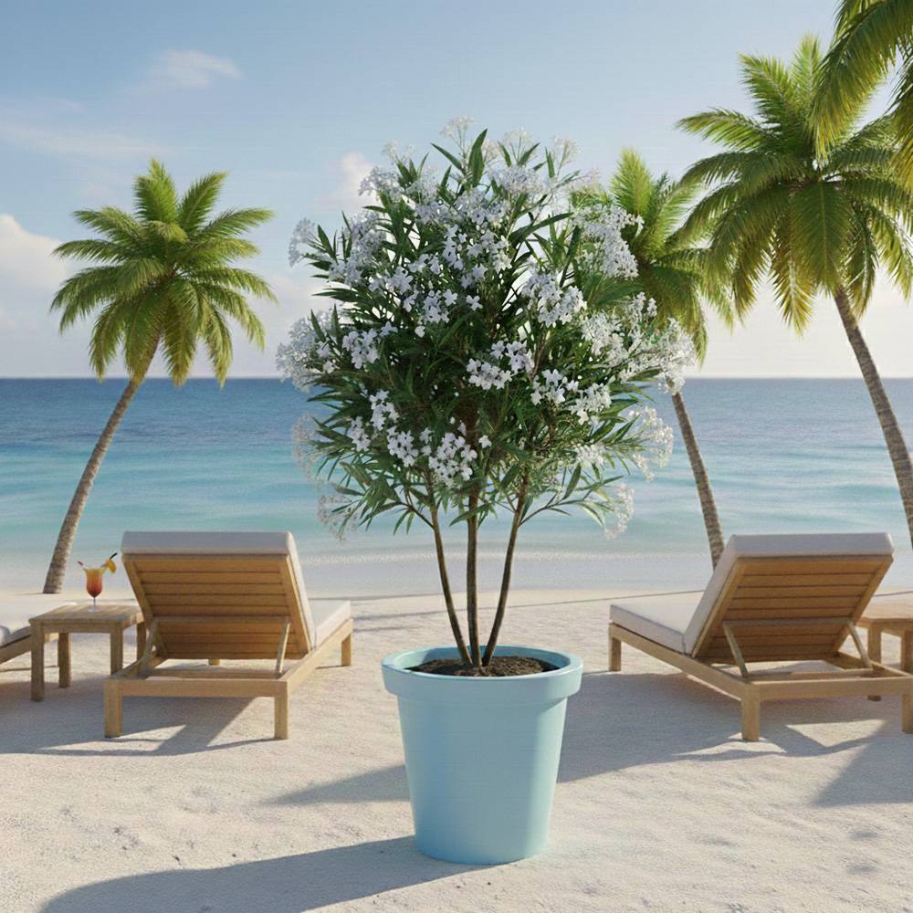Pot de fleurs 75l delight - plast'up rotomoulage - Image 4
