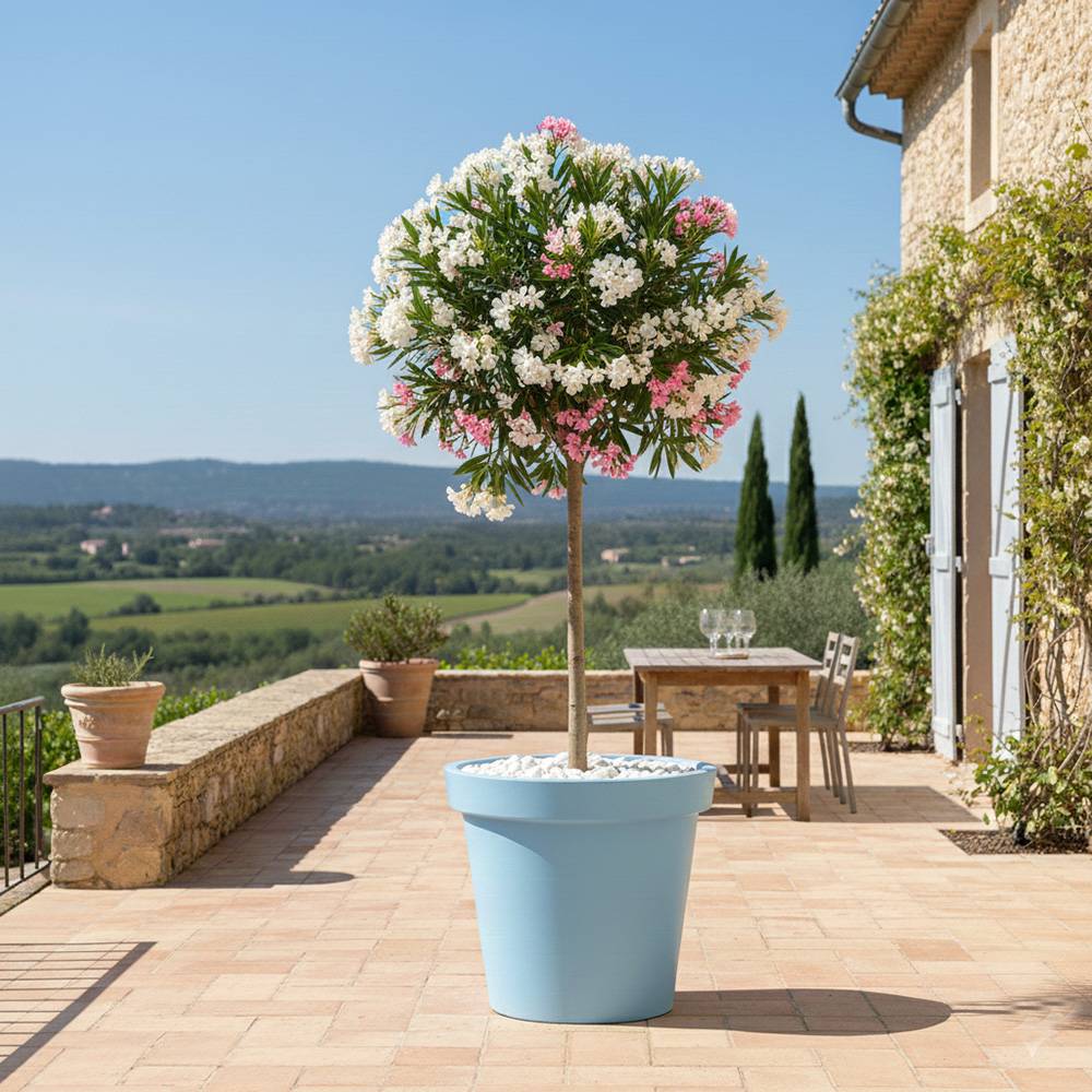 Pot de fleurs 75l delight - plast'up rotomoulage - Image 2