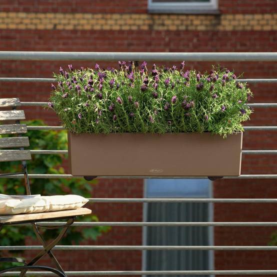 Lechuza - Pot Balconera Color 80 - kit complet, muscade - 80 cm Lechuza - Imagen 4
