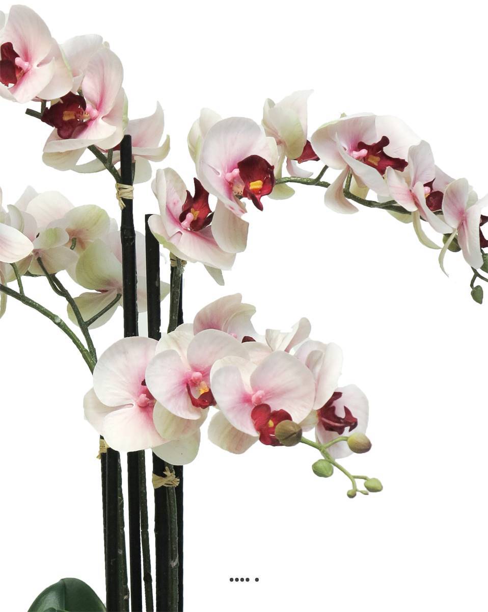 Artificielles - Orchidée Phalaenopsis factice en pot top qualité H60cm Rose-crème-BEST - dimhaut: H 60 cm - couleur: Rose-crème - Imagen 3
