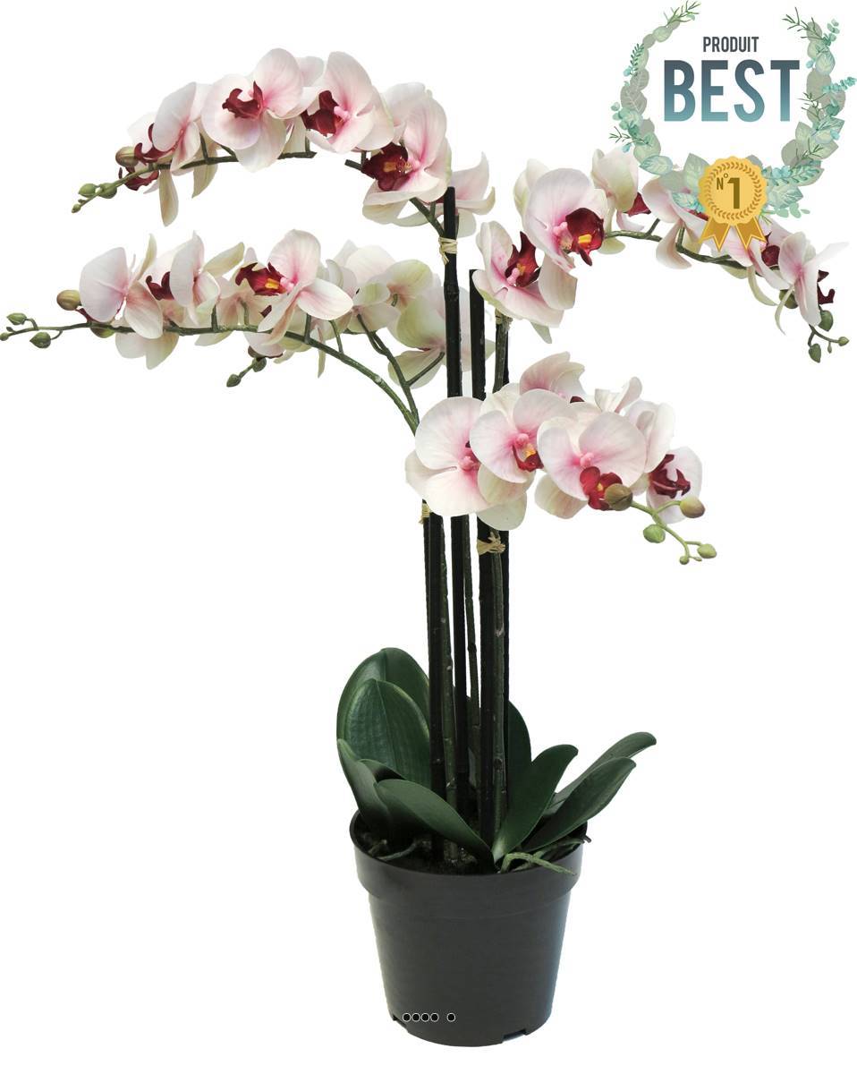 Artificielles - Orchidée Phalaenopsis factice en pot top qualité H60cm Rose-crème-BEST - dimhaut: H 60 cm - couleur: Rose-crème - Imagen 1