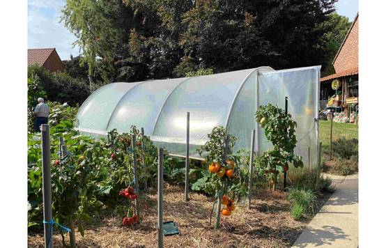 Serre tunnel de jardin - 16m² - 3,7 x 4,5 m - pieds arrondis - polyéthylène haute densité - aérations latérales - LES SERRES TONNEAU - Image 3
