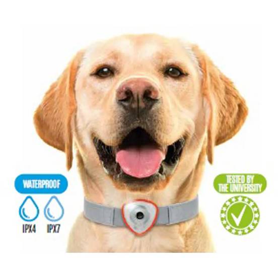 Autre - Répulsif électronique anti tiques et puces pour chien et chats noir - Image 5