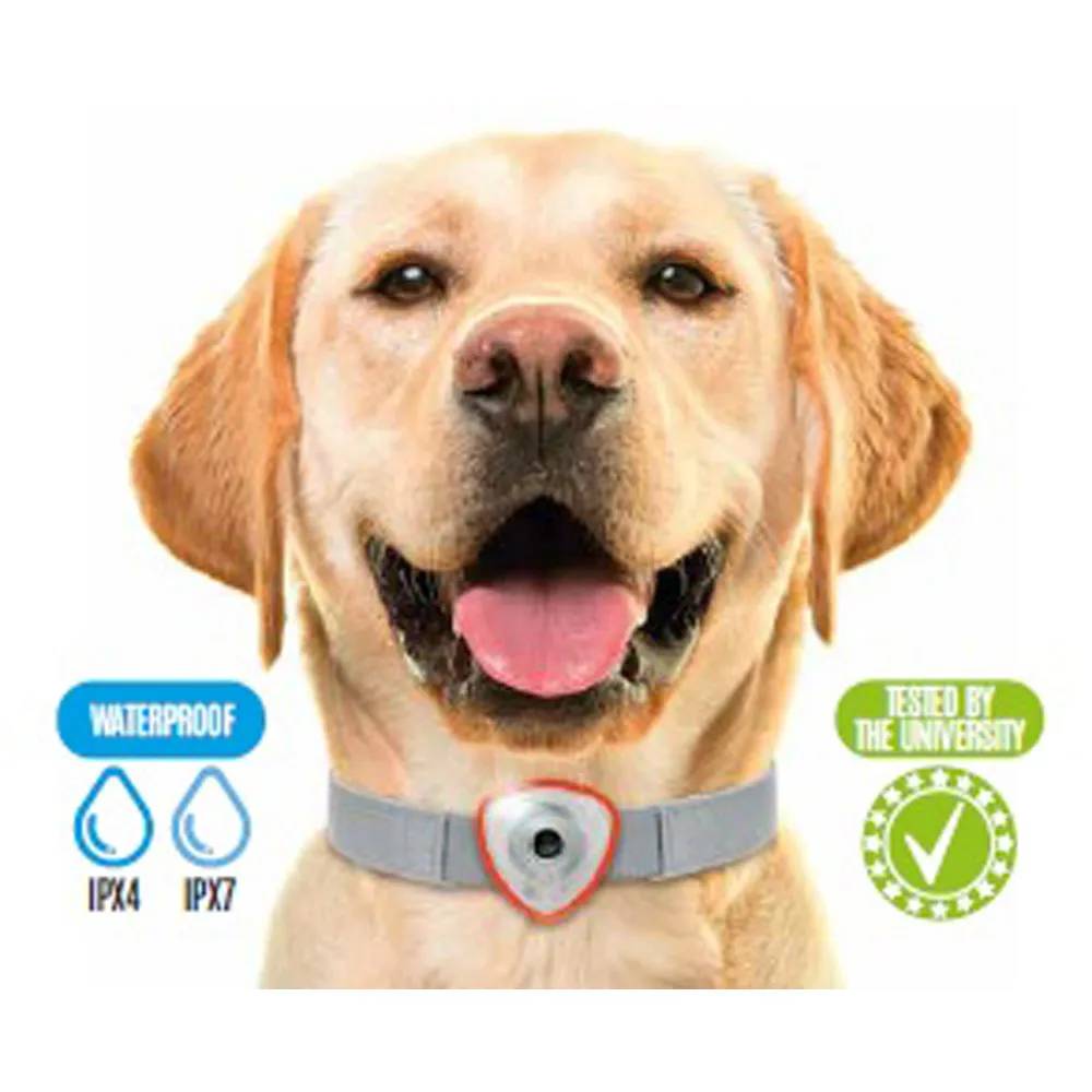 Autre - Répulsif électronique anti tiques et puces pour chien et chats noir - Image 5