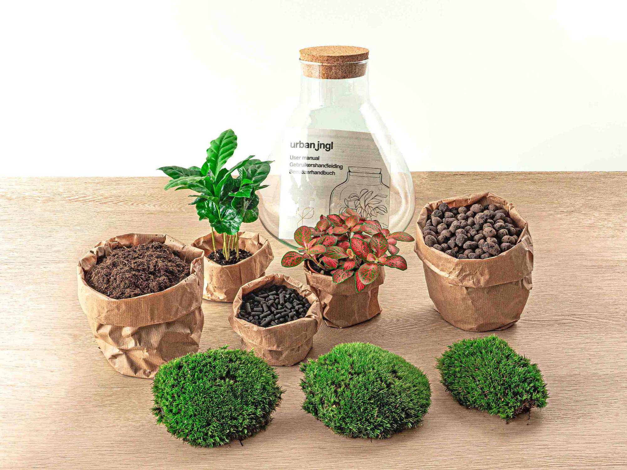 Terrarium à composer bouteille en verre recyclé - Ø22-H26cm - avec kit 4 outils - Terrarium DIY - Image 2