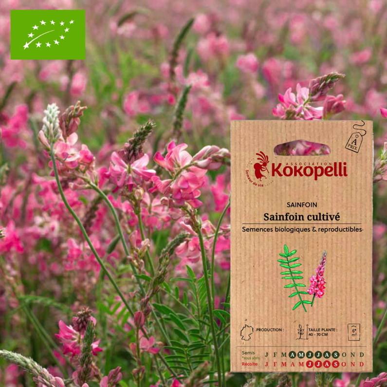 Sainfoin Cultivé- Graines bio à semer - Image 1