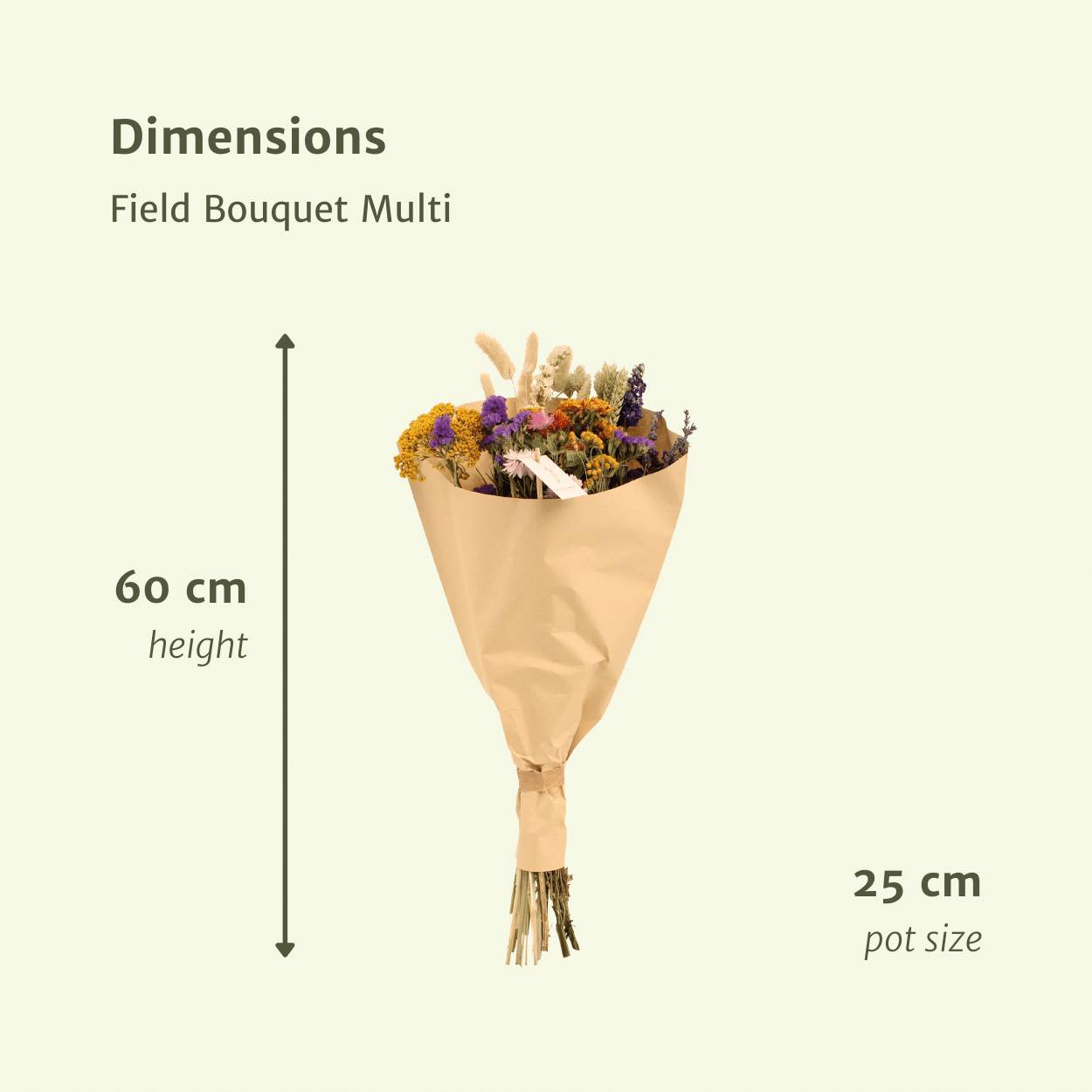 PANGIVO - Bouquet de fleurs séchées multicolore 25 x 25 x 60 cm - PANGIVO - Image 2