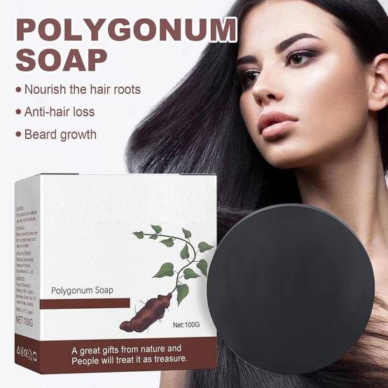 Savon-Lot de 2 savons shampooing Polygonum Multiflorum 100g - Cheveux noirs et épais - Living123 - Image 2