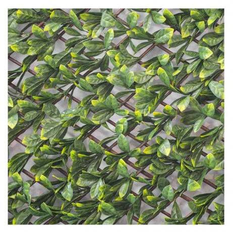 James Grass - France Green - Treillis extensible feuilles de laurier amande - Long 17 m, Hauteur 3 m - Imagen 2