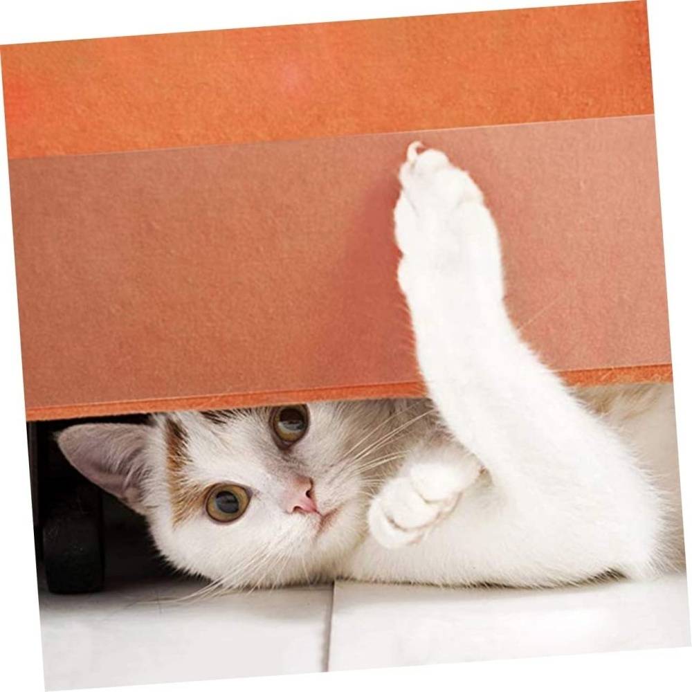 DtopbuyAge - Autocollant anti - grab pour chat et chien M DtopbuyAge - Image 3
