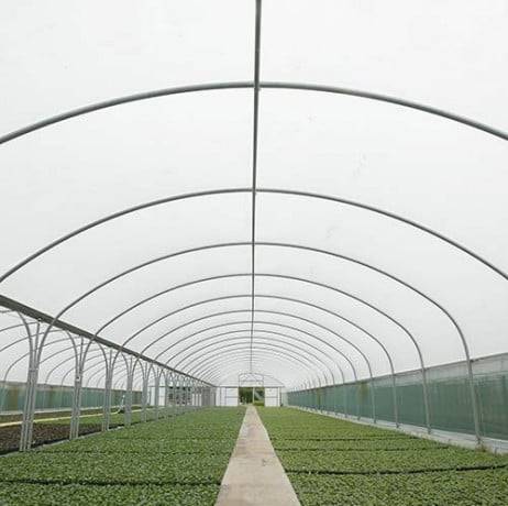 Plastidis - Bâche de serre blanche spécial pépinière - Long 38 m, Larg 11.20 m - Imagen 1
