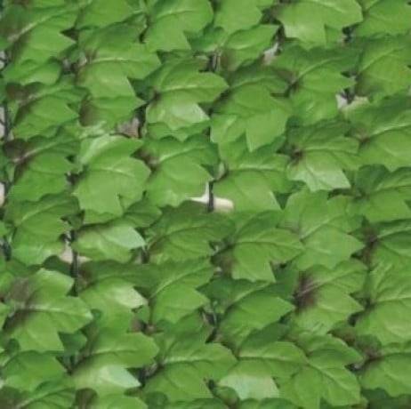 Haie artificielle feuillage Lierre, Long 27 m, Hauteur 1.50 m - Imagen 2